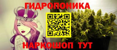 кокс Аргун