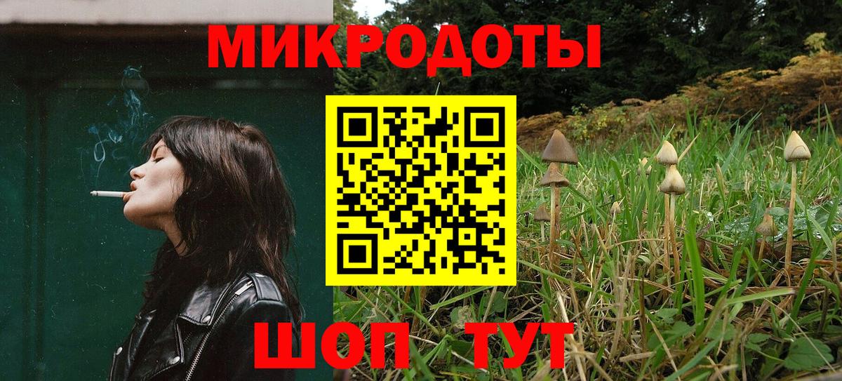 Псилоцибиновые грибы мицелий  Артём 