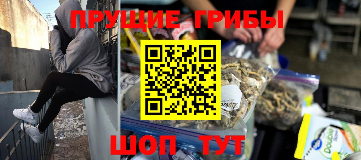 Псилоцибиновые грибы GOLDEN TEACHER Артём