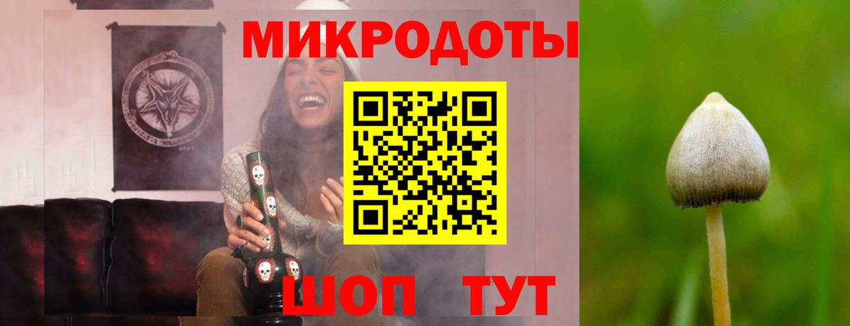Галлюциногенные грибы Psilocybine cubensis Артём
